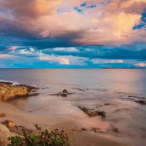 The Onames Colors , Reitani Italia